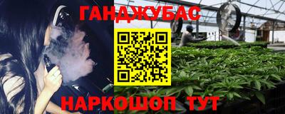 крисы Рыбинск