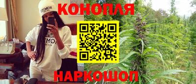крисы Рыбинск