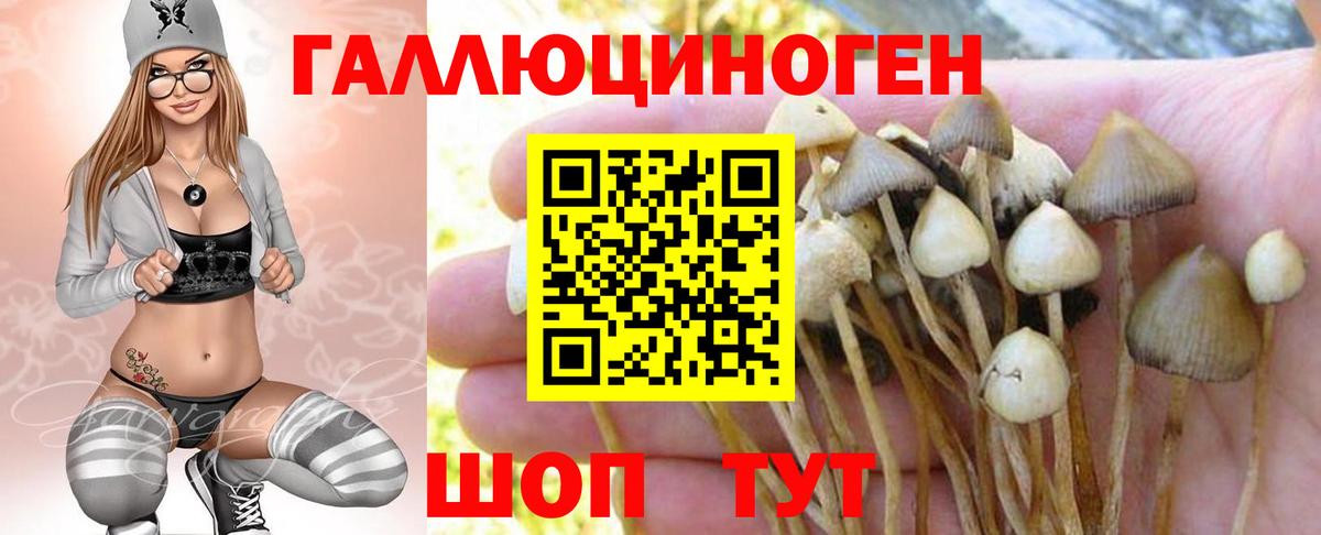 Галлюциногенные грибы мицелий Полевской